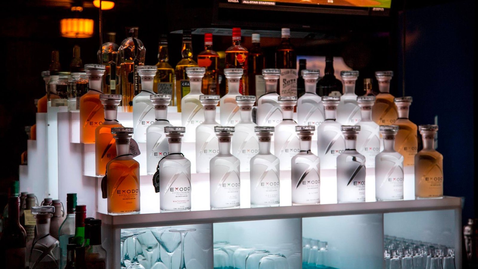 Exodo Tequila Display