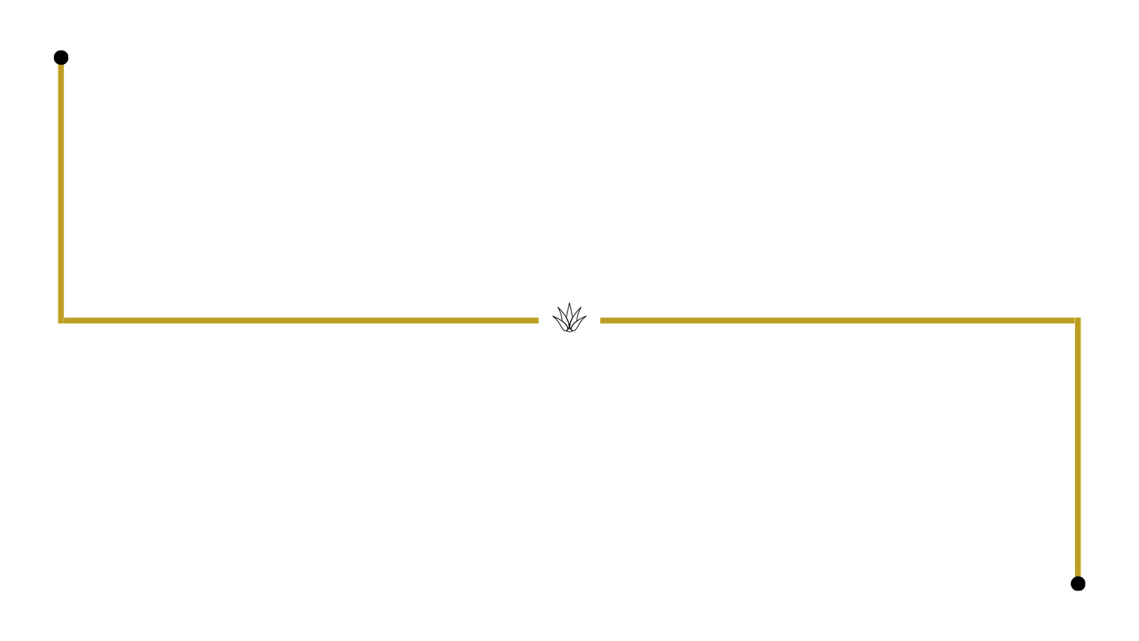 Journey From Left to Right