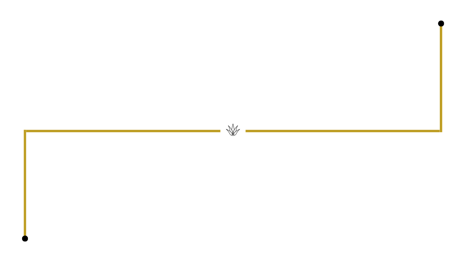 Journey From Right to Left